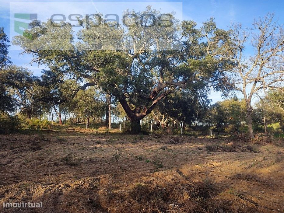 Terreno rústico, Povoa Rio Moinhos, — Póvoa De Rio De Moinhos E Cafede, Castelo Branco