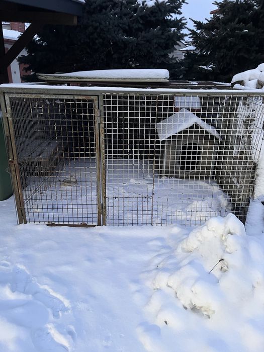 Kojec dla psa plus buda dębowa