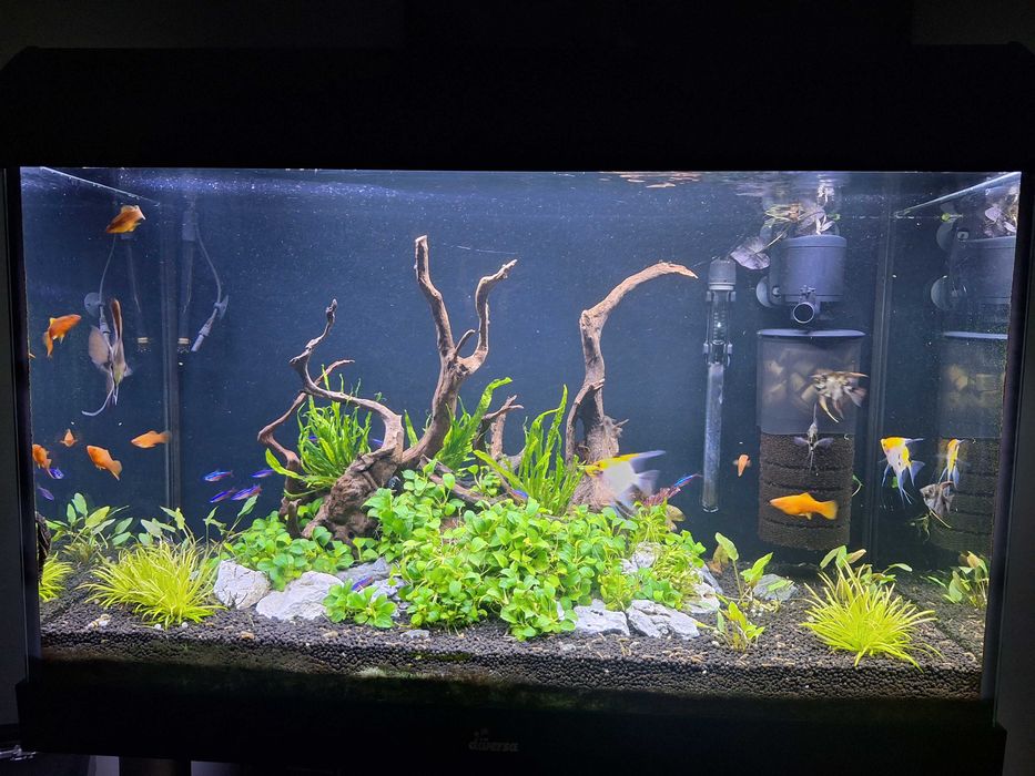 Akwarium+szafka+pokrywa+niezbędne dodatki