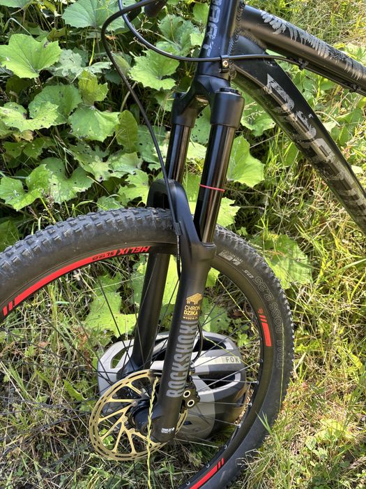 Dartmoor hornet 2022