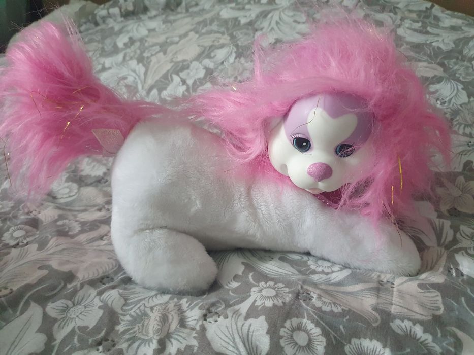 Psia mama ze szczeniakami puppy surprise piesek pies Mandy