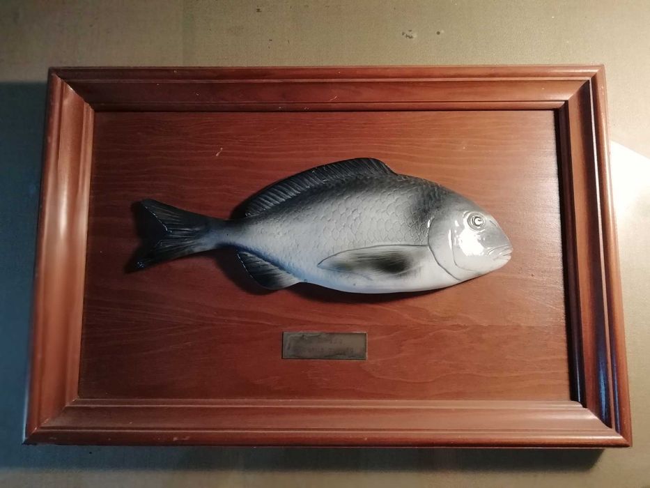 Sargo - Porcelana aerogravada sobre madeira - bellissima execução