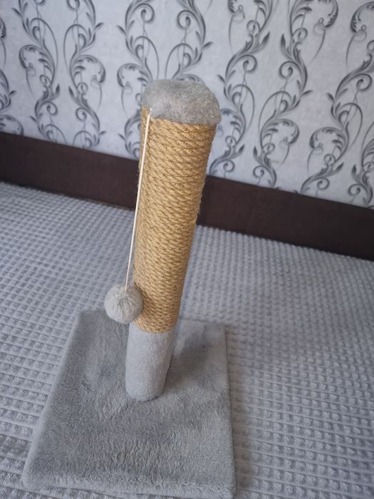 Когтеточка для котят