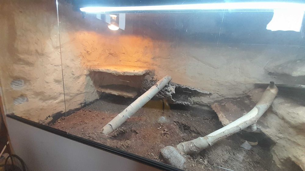 Terrarium 144x64x78cm jaszczurka