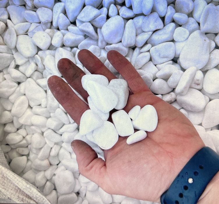 Grys Dalmatyńczyk,granitowy,janowicki,biała marianna,kora kamienna