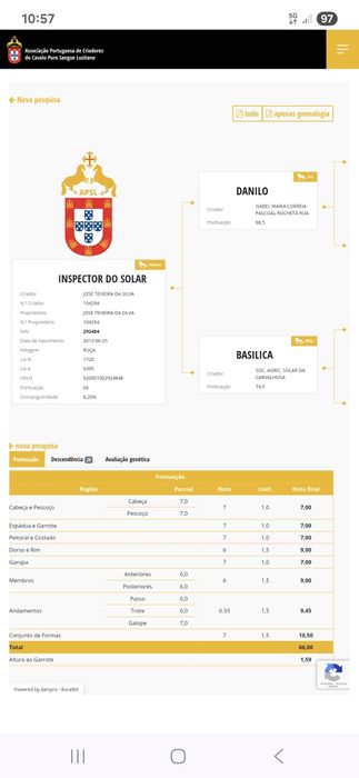 Vendo poldra PSL com 2anos