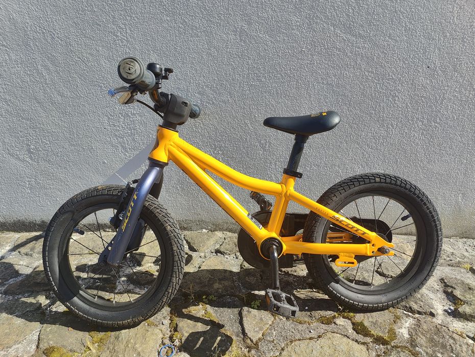 Scott Roxter 14 criança