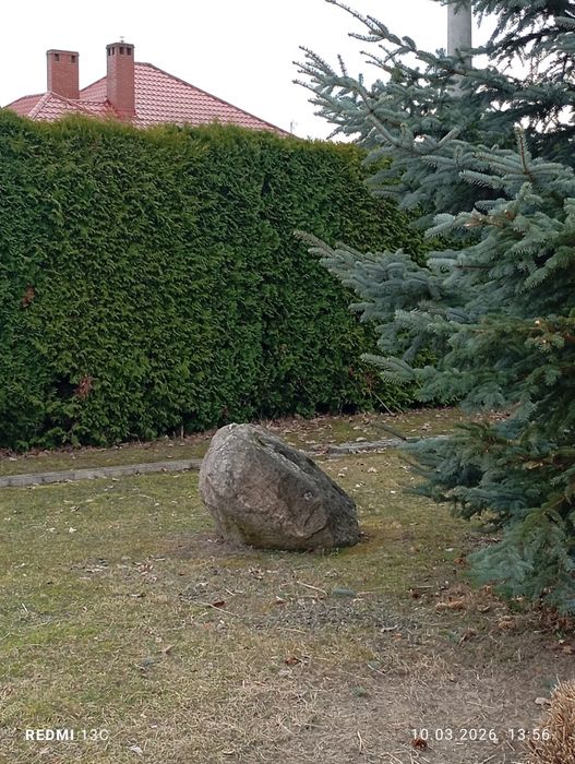 Głaz ozdobny duży kamień naturalny ogrodowy