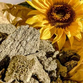 Макуха  смажена, сиродавлена