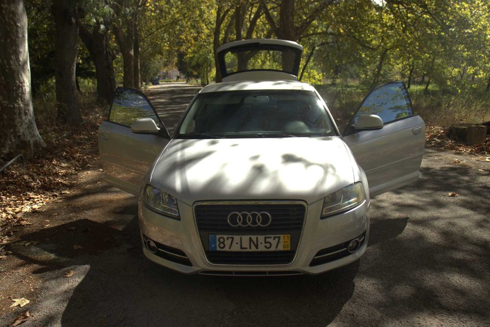 AUDI A3 Hatchback (8P1) 1.6 TDI 105 cv