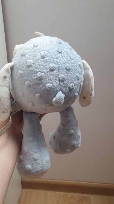 Miś szumiś błękitny