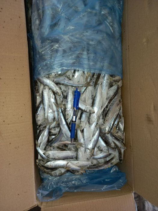 Продам замороженное мясо птицы, рыбу, полуфабрикаты