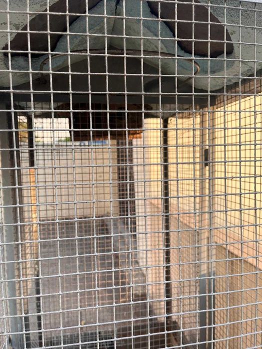 Gaiola Pássaros - INOX