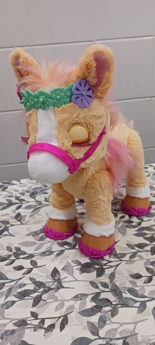 Poney ELegante novo