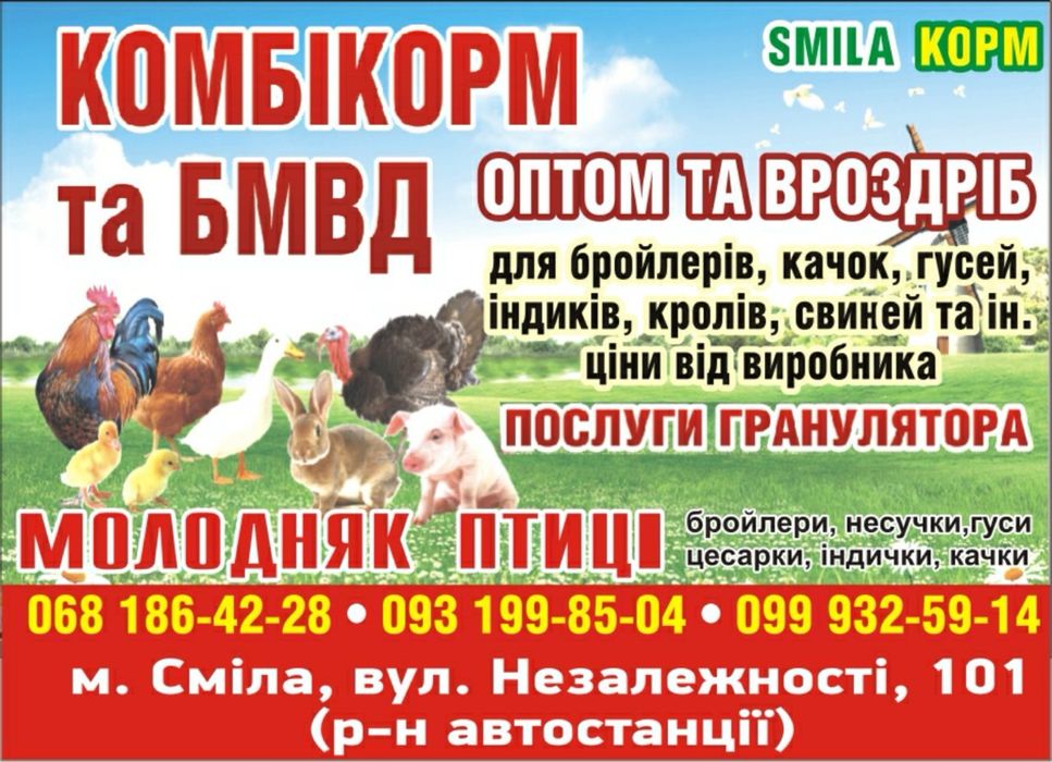 Бройлер КОББ-500 добовий і підрощений,приймає замовлення