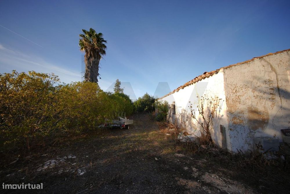 Oportunidade Única: Quinta Centenária para Recuperar em Localização Pr