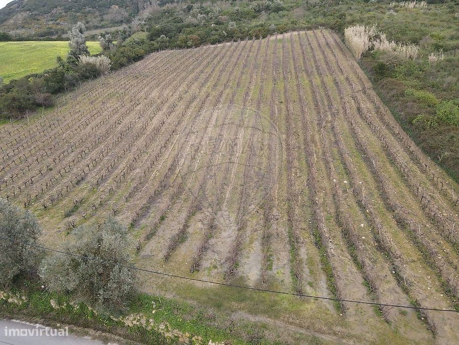 Terreno  para venda
