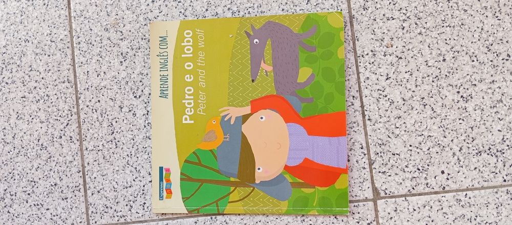 Livro aprender inglês