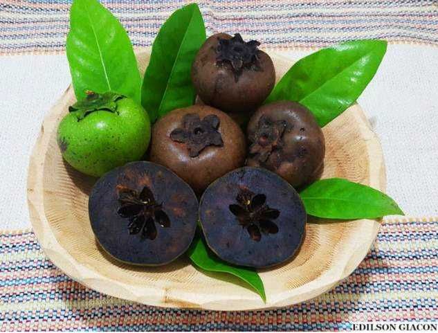 Frutos Tropicais (árvores)