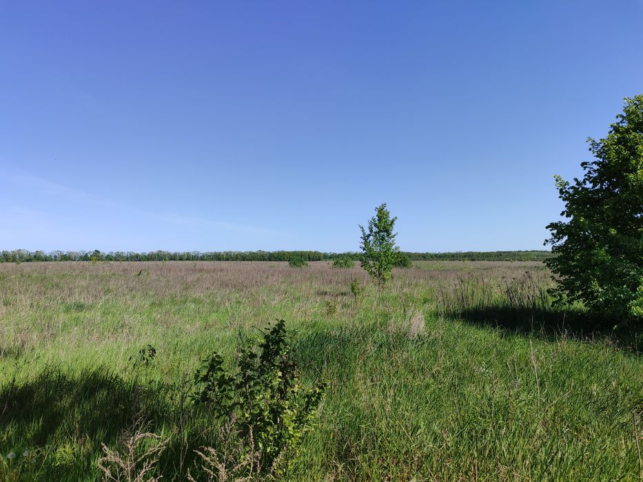 БЕЗ Комісії! Зем. Ділянка, Сосонка, 10 сот.!