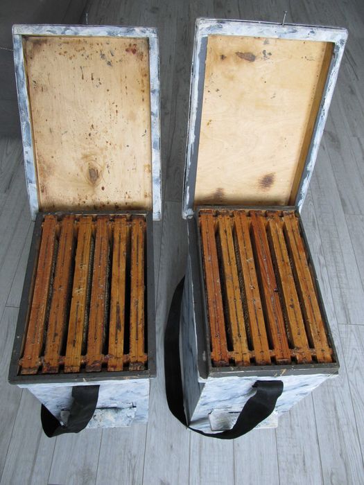 Роєловка , роївня, Рамконос, 6 рамковий вулик на українську рамку .