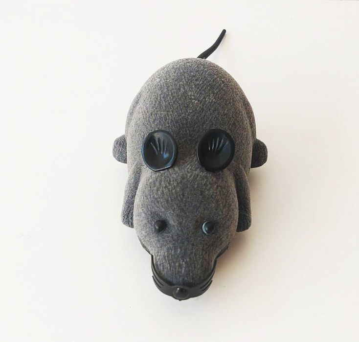 Rato com controlo remoto sem fio para animais domésticos