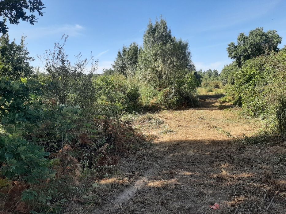 limpeza de terrenos