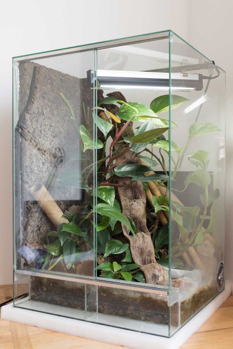 Terrarium, gekony płaczące, 40x40x60cm