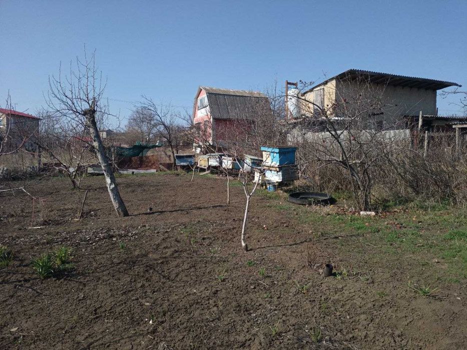 Дача возле леса Алтестово