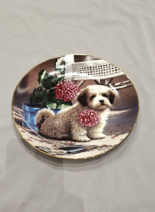 Shih Tzu lub Lhasa Apso. Kolekcjonerski talerz z 1987r z serii Puppy Playtime, szczeniak