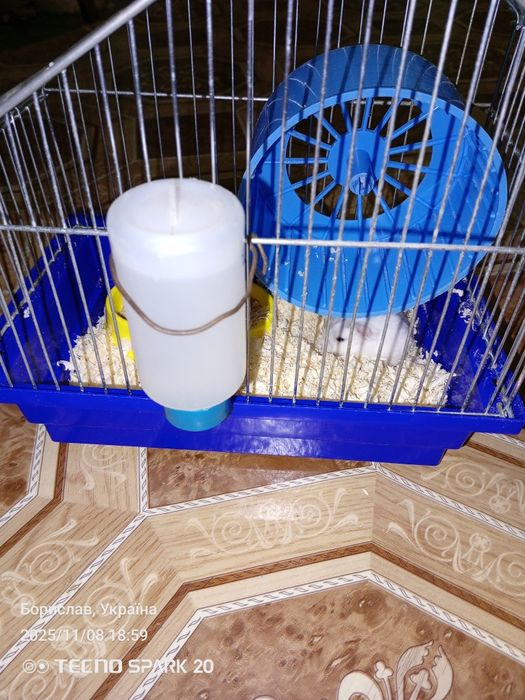 Продам клітку разом з хомяком