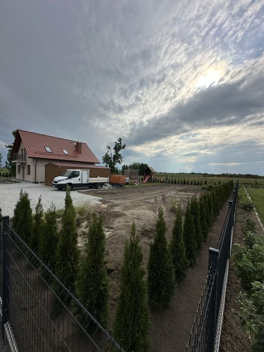 Tuja szmaragd ogrodzenie sadzenia żywopłot transport