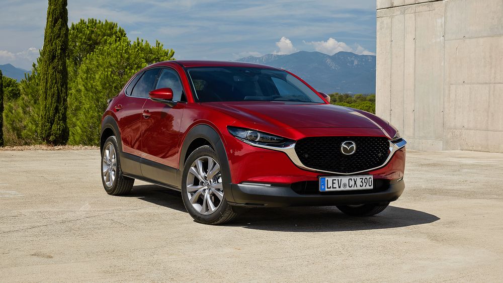 Zdjecie w galerii numer 2