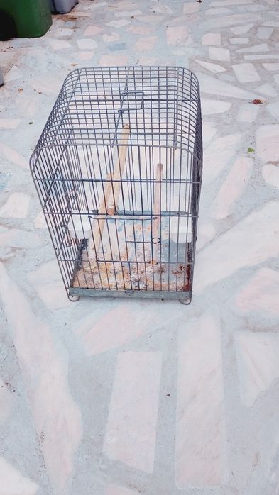 Gaiola para papagaio  em arame