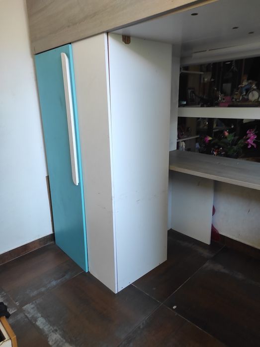 Beliche de criansa, adultshent