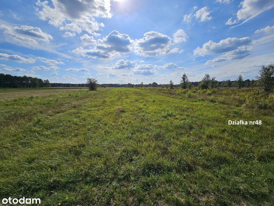 Własne Miejsce W Puszczy Białowieskiej–Cisza, Natura I Off-Grid 0,56Ha