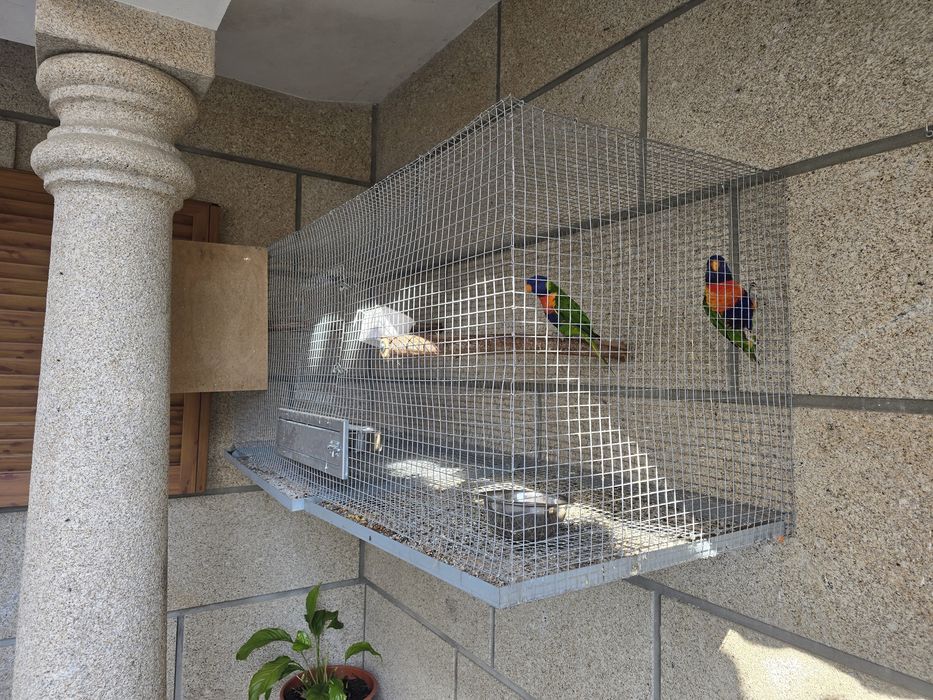 Gaiolas / viveiros para aves