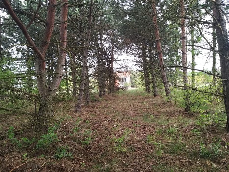 Zdjęcie 5