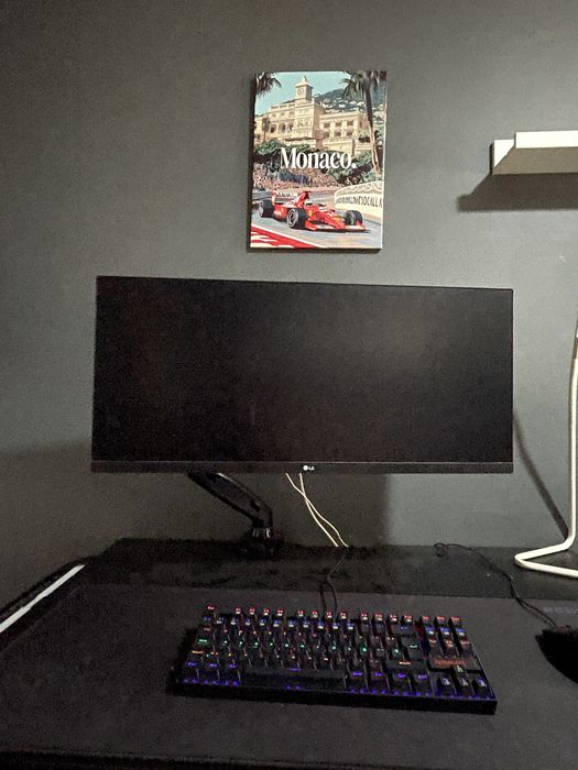 Monitor LG UltraWide 29WN600-W