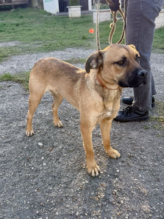 Шукаємо люблячу, відповідальну сімʼю! Хлопчик 1,5 роки