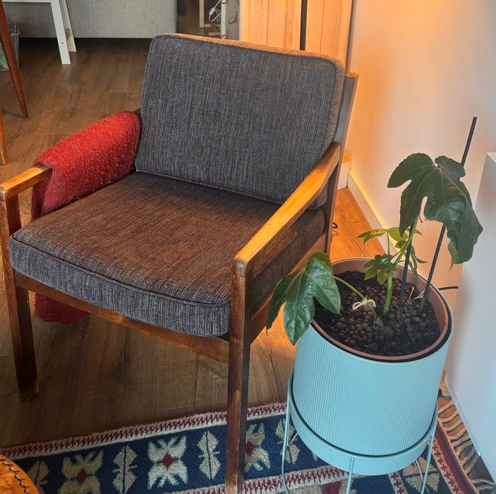 Cadeirão Vintage Mid-Century Modern / Estilo Nórdico (Anos 60)