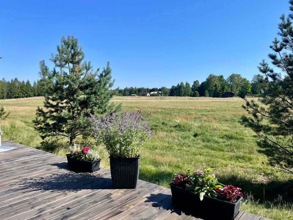 Domek na wynajem w lesie z jacuzzi – Tiny House Bory Tucholskie