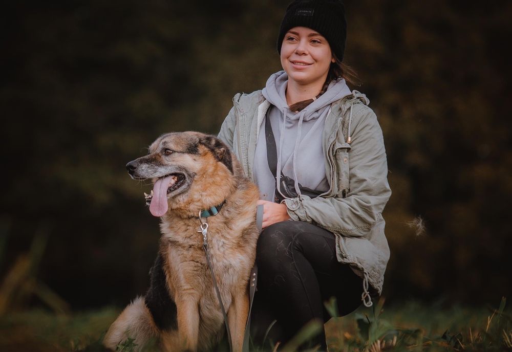 Duży pies Hagi szuka domu! Adopcja