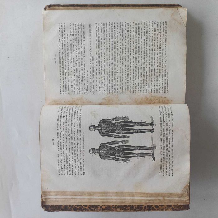 1873 р. Як зберегти здоров'я