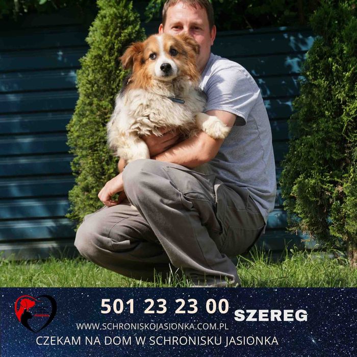 SZEREG do adopcji – Schronisko Jasionka