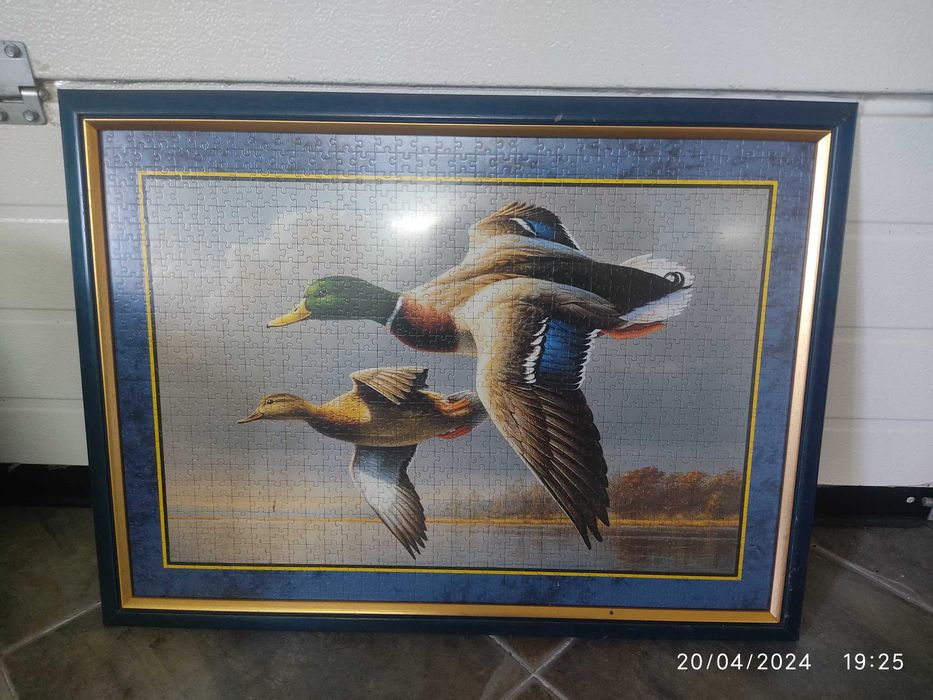 Vários quadros para decoração
