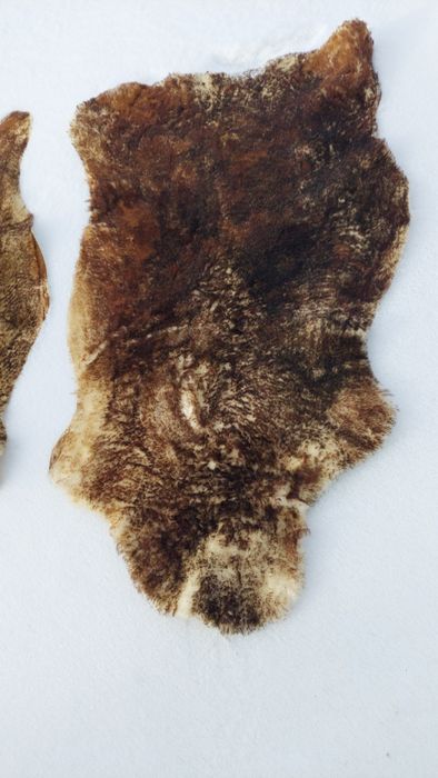 Naturalne skóry owcze super cena 2 sztuki