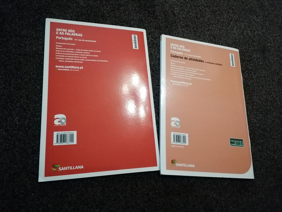 Caderno de atividades Entre nós e as palavras: Ideal para explicadores