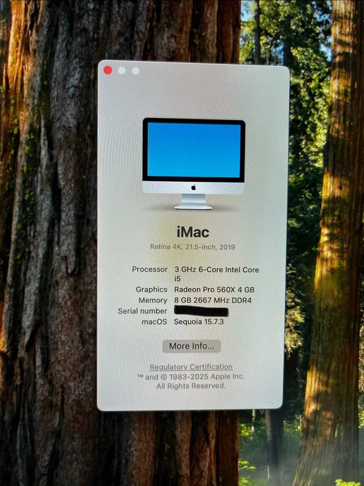 iMac 21" 2019 Retina 4K- Intel, c/caixa e acessórios