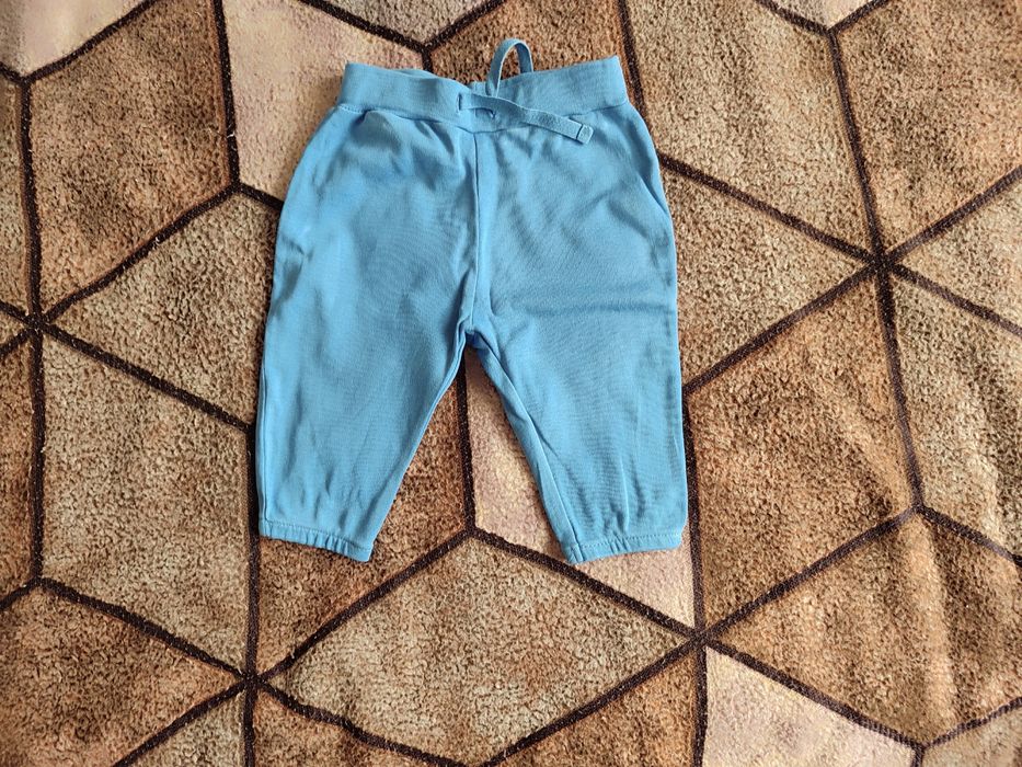 Продам/віддам 3-6 місяців